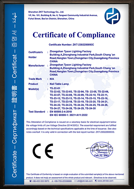 Tyson Lighting international certification document 1