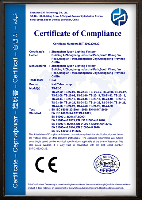 Tyson Lighting international certification document 2