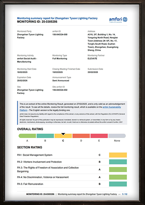 Tyson Lighting international certification document 6