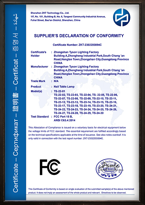 Tyson Lighting international certification document 7
