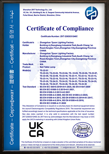 Tyson Lighting international certification document 8