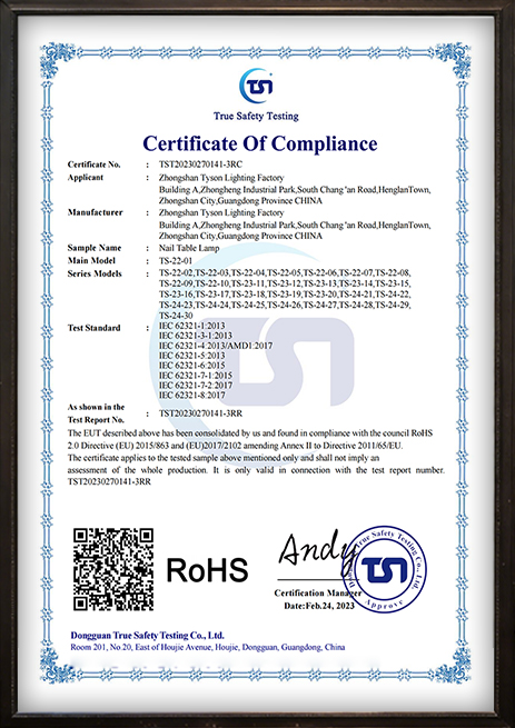 Tyson Lighting international certification document 10