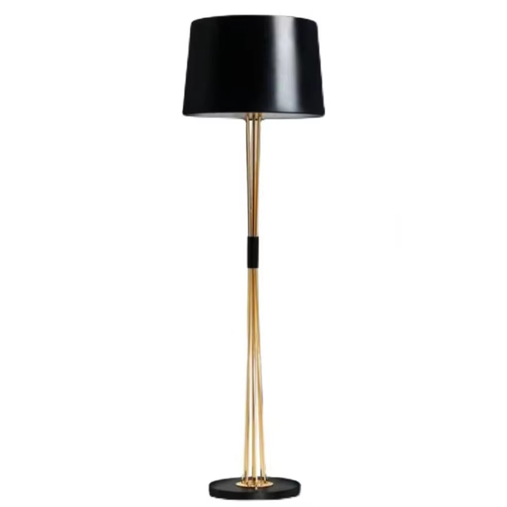 Light luxury black-gold multi-rod floor lamp, black conical lampshade + golden multi-thin rod lamp pole + black decorative ring, soft lighting, creating a high-end minimalist atmosphere.