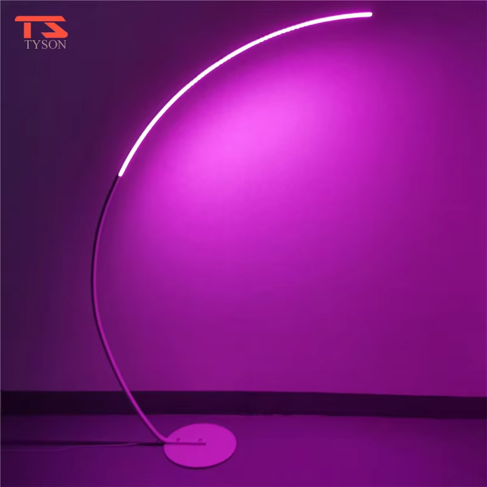 Modern minimalist black metal curved strip LED floor lamp, black metal curved stand + strip LED lamp body + soft warm light, creating a simple high-end home atmosphere.